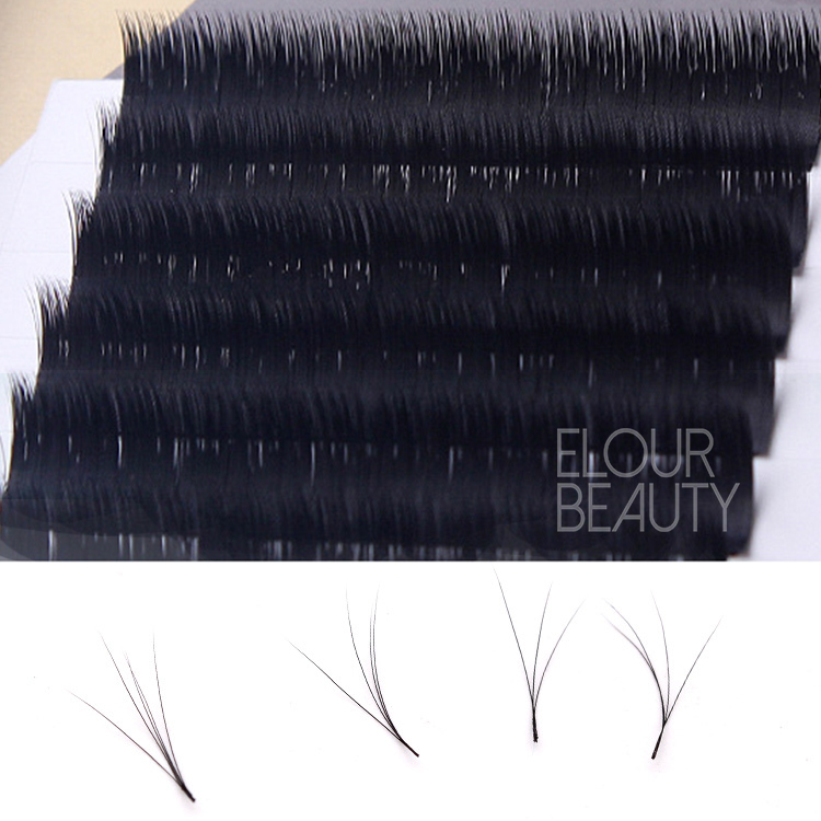 volume silk mink camellia lash extensions brisbane.jpg